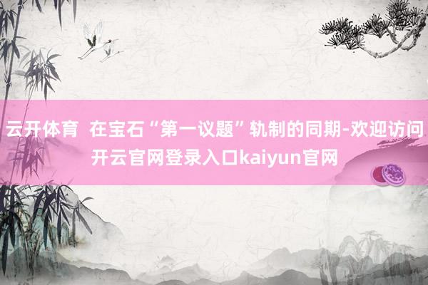 云开体育  在宝石“第一议题”轨制的同期-欢迎访问开云官网登录入口kaiyun官网